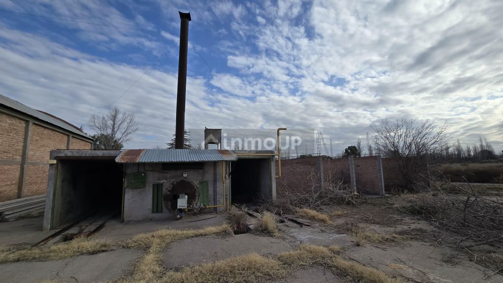 Finca en Venta en San Rafael, Mendoza