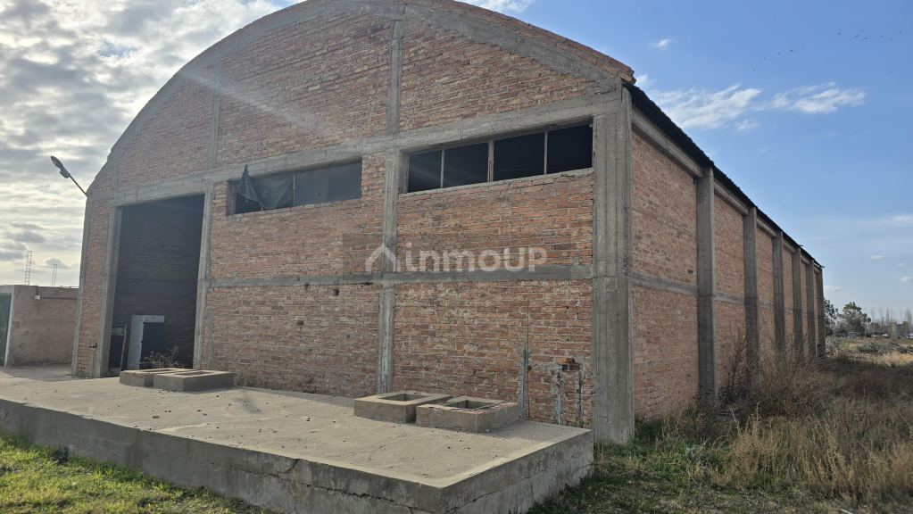 Finca en Venta en San Rafael, Mendoza