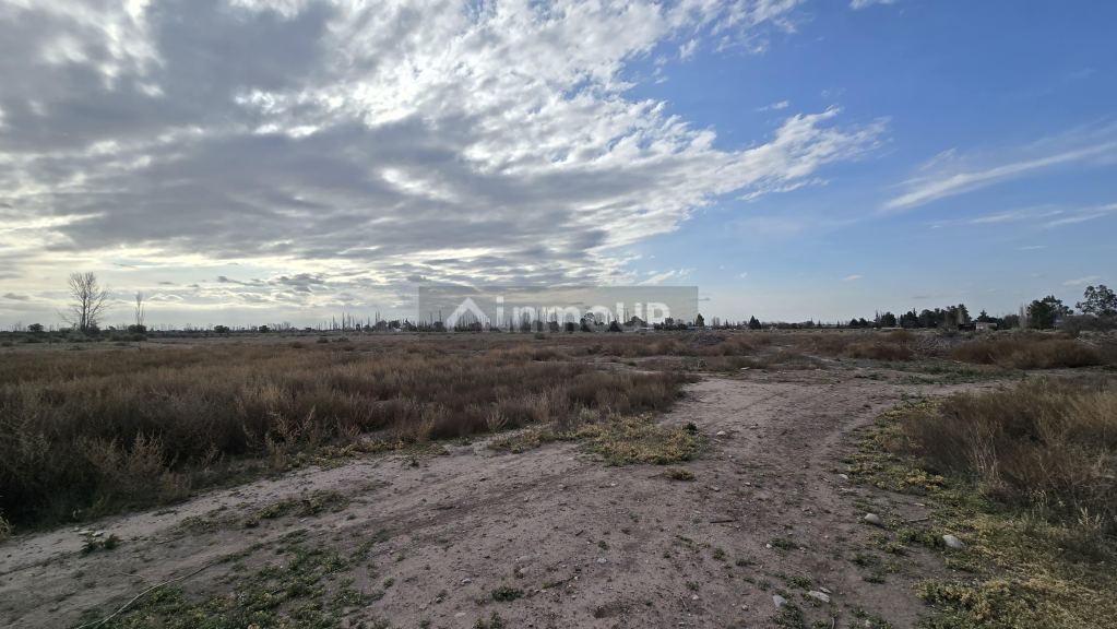Finca en Venta en San Rafael, Mendoza