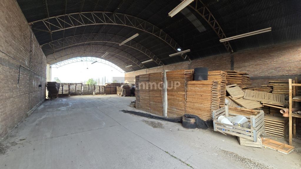 Finca en Venta en San Rafael, Mendoza