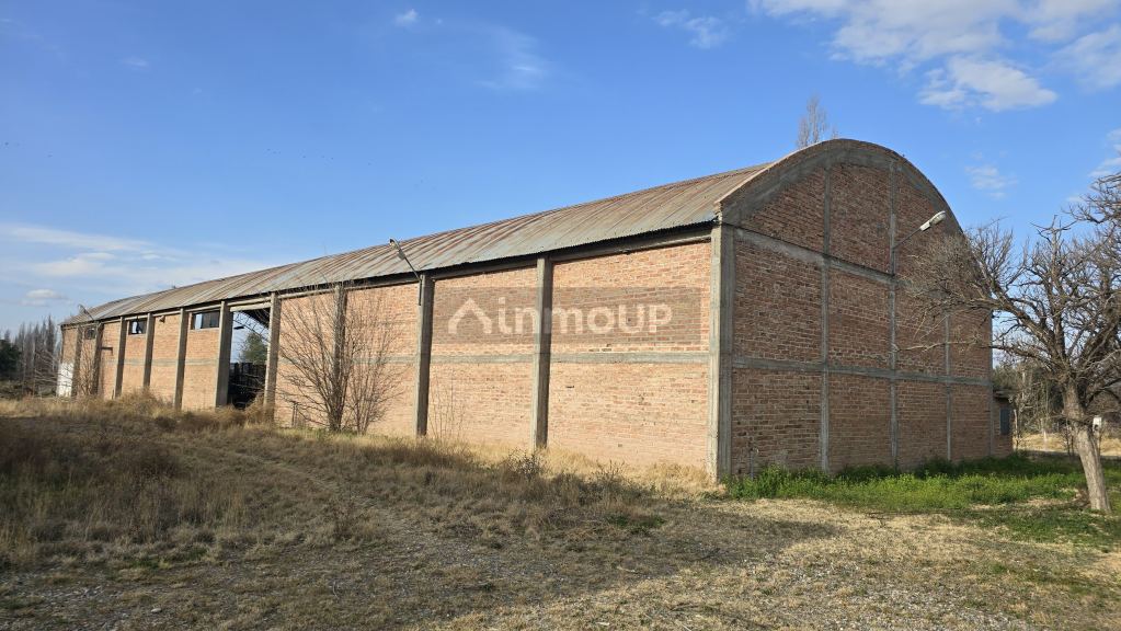 Finca en Venta en San Rafael, Mendoza