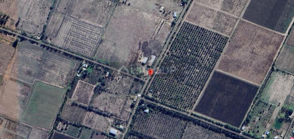 Finca en Venta en San Rafael, Mendoza