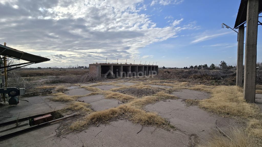 Finca en Venta en San Rafael, Mendoza