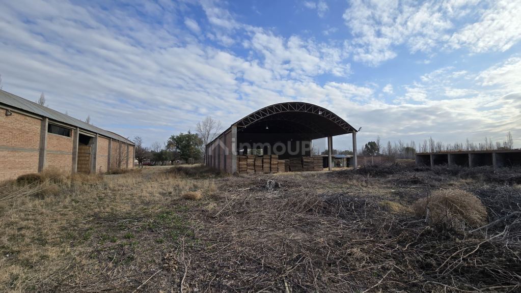 Finca en Venta en San Rafael, Mendoza
