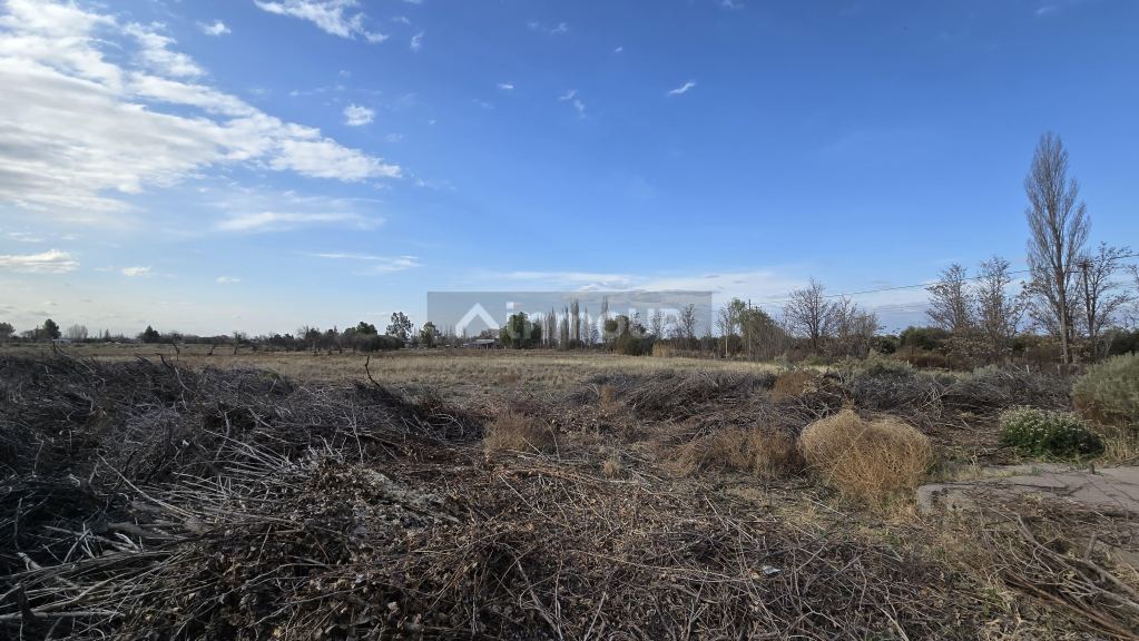 Finca en Venta en San Rafael, Mendoza