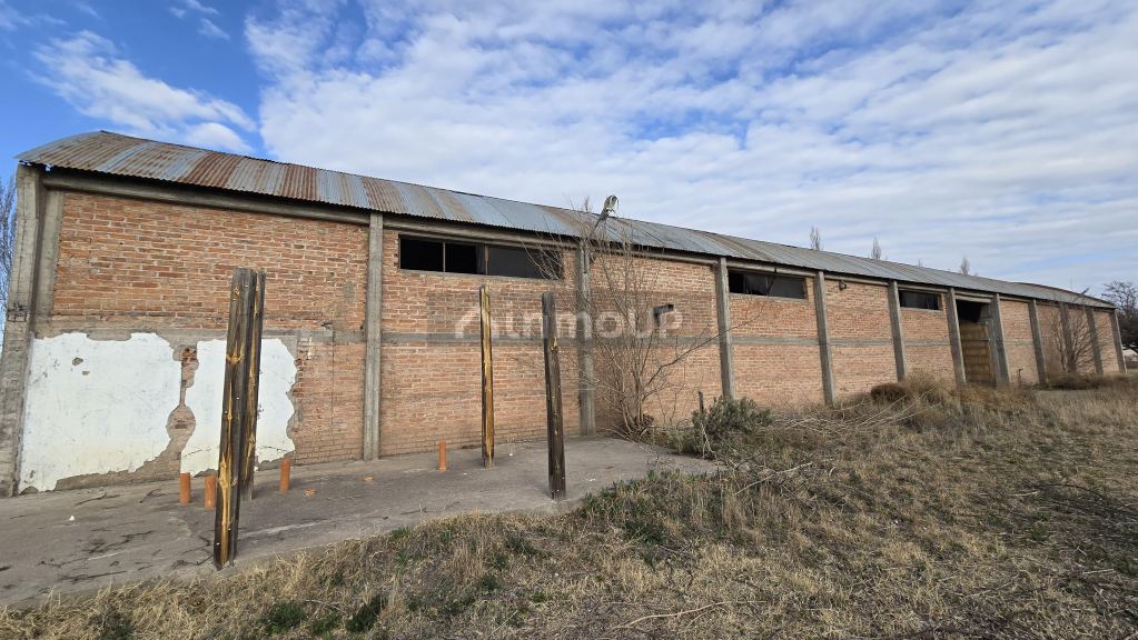 Finca en Venta en San Rafael, Mendoza
