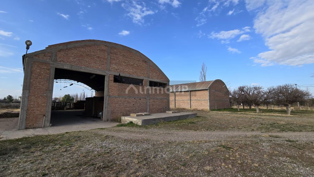 Finca en Venta en San Rafael, Mendoza