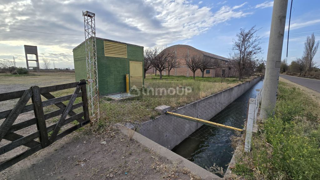 Finca en Venta en San Rafael, Mendoza