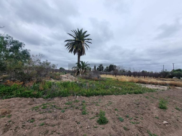Terreno en Venta en San Rafael, Mendoza