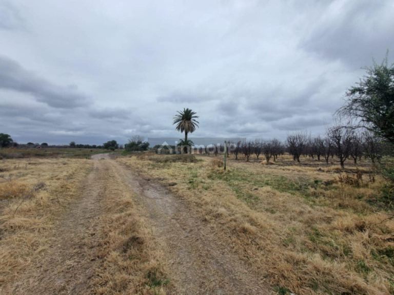 Terreno en Venta en San Rafael, Mendoza