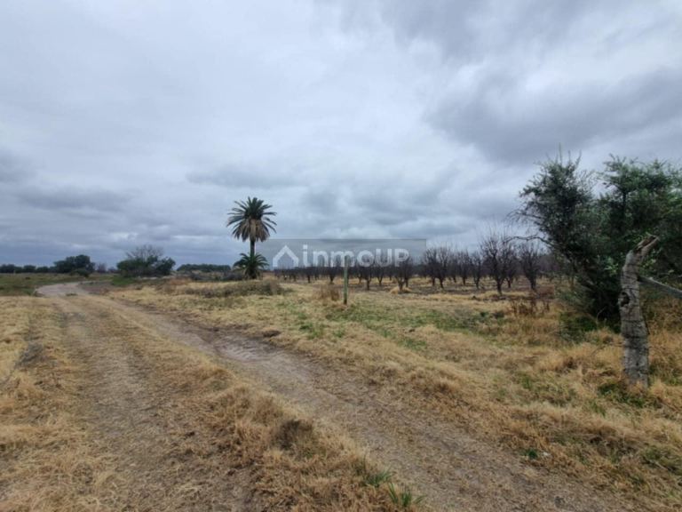 Terreno en Venta en San Rafael, Mendoza
