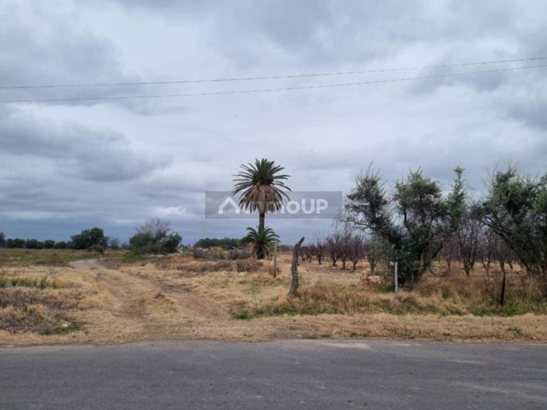 Terreno en Venta en San Rafael, Mendoza