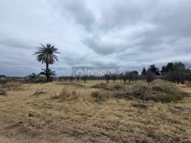 Terreno en Venta en San Rafael, Mendoza