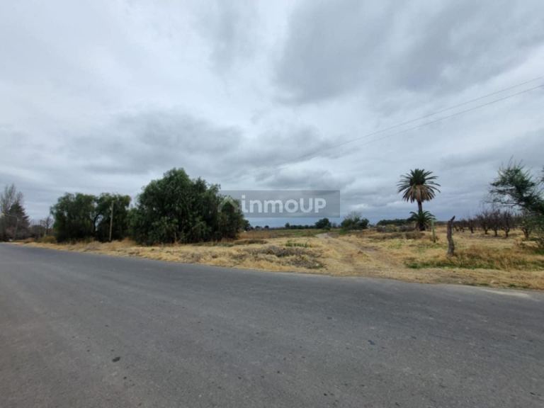 Terreno en Venta en San Rafael, Mendoza