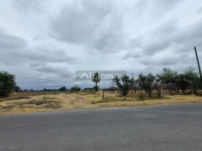 Terreno en Venta en San Rafael, Mendoza