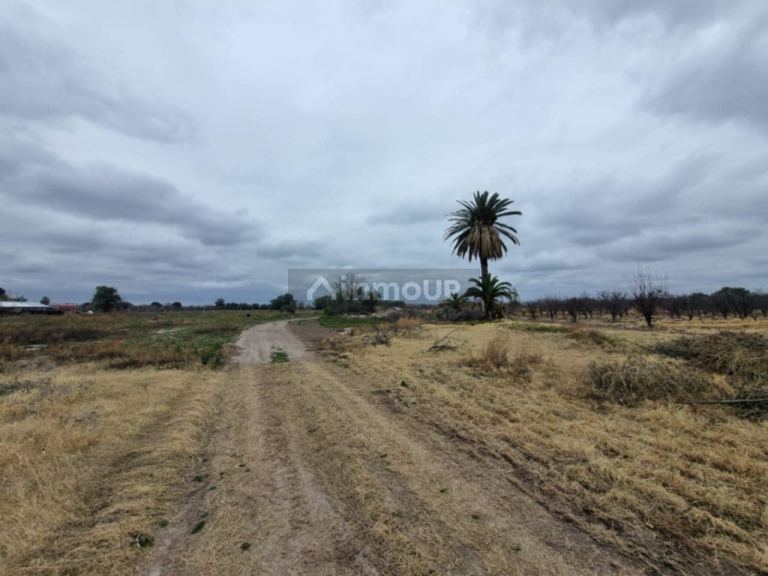 Terreno en Venta en San Rafael, Mendoza