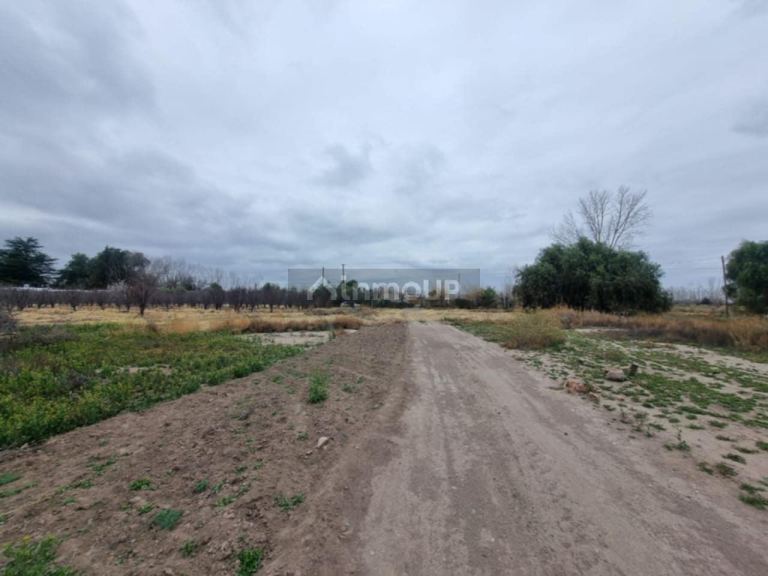 Terreno en Venta en San Rafael, Mendoza