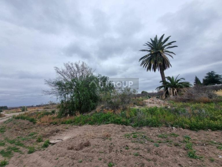 Terreno en Venta en San Rafael, Mendoza