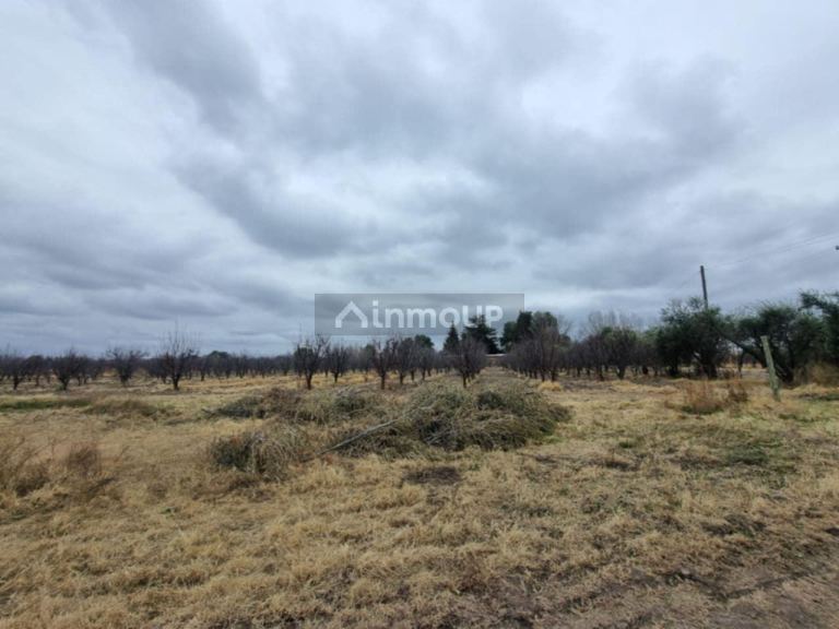 Terreno en Venta en San Rafael, Mendoza