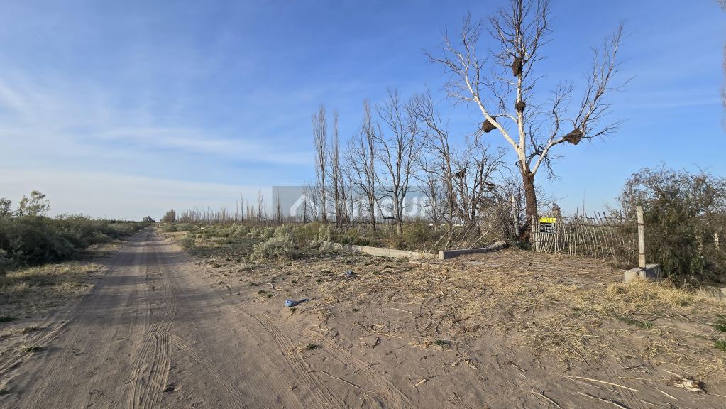 Campo en Venta en San Rafael, Mendoza