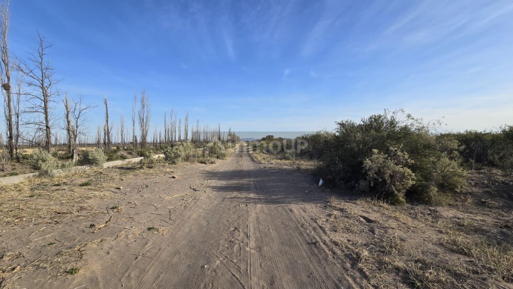 Campo en Venta en San Rafael, Mendoza