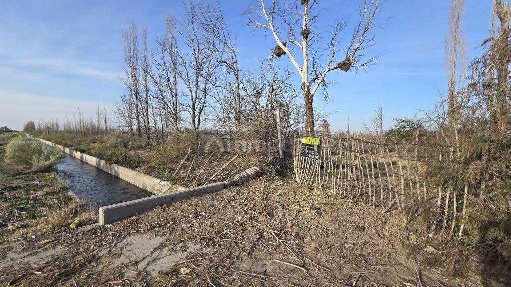 Campo en Venta en San Rafael, Mendoza