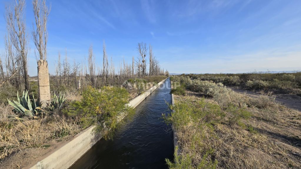 Campo en Venta en San Rafael, Mendoza