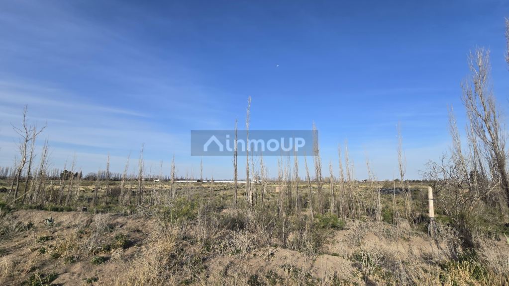 Campo en Venta en San Rafael, Mendoza