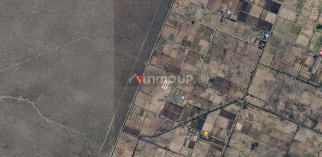 Campo en Venta en San Rafael, Mendoza