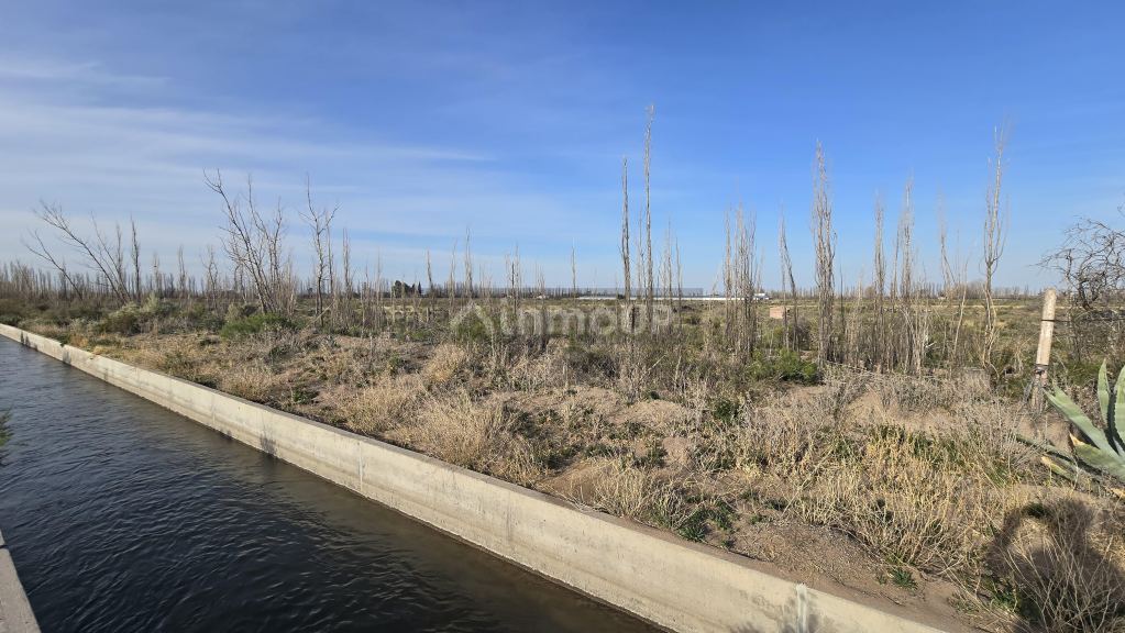 Campo en Venta en San Rafael, Mendoza
