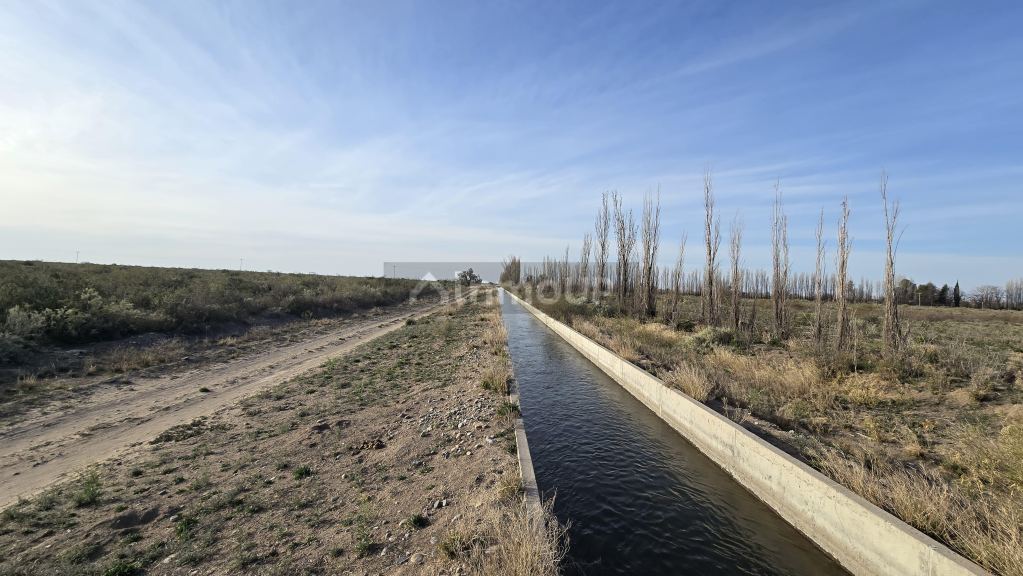 Campo en Venta en San Rafael, Mendoza