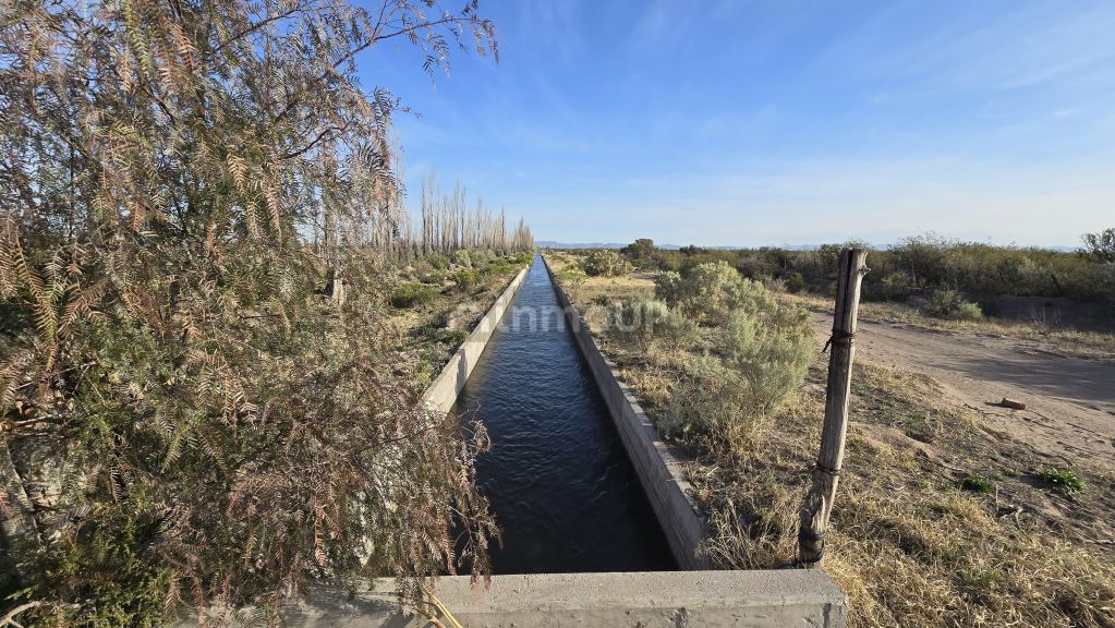 Campo en Venta en San Rafael, Mendoza