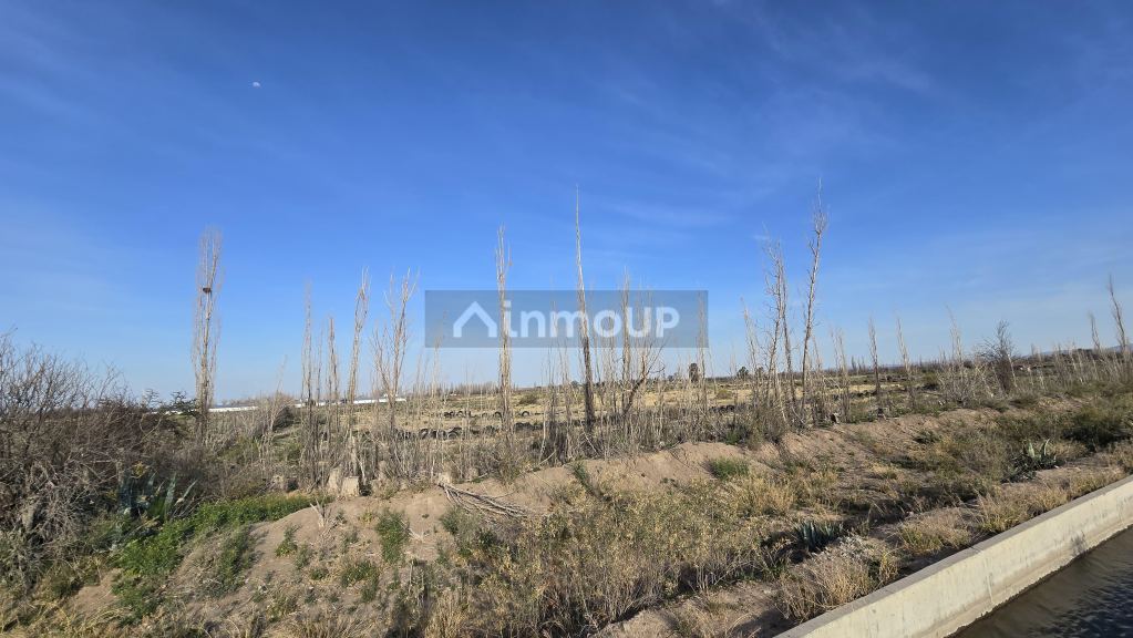Campo en Venta en San Rafael, Mendoza