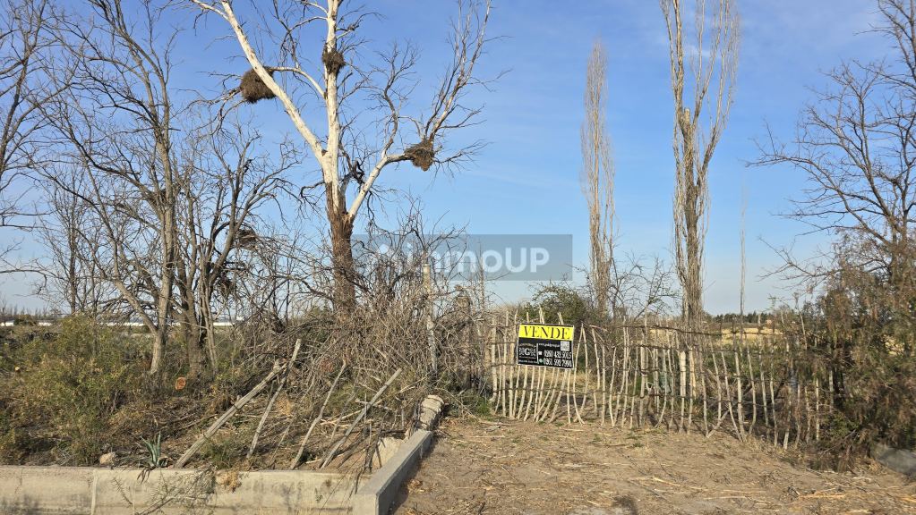 Campo en Venta en San Rafael, Mendoza