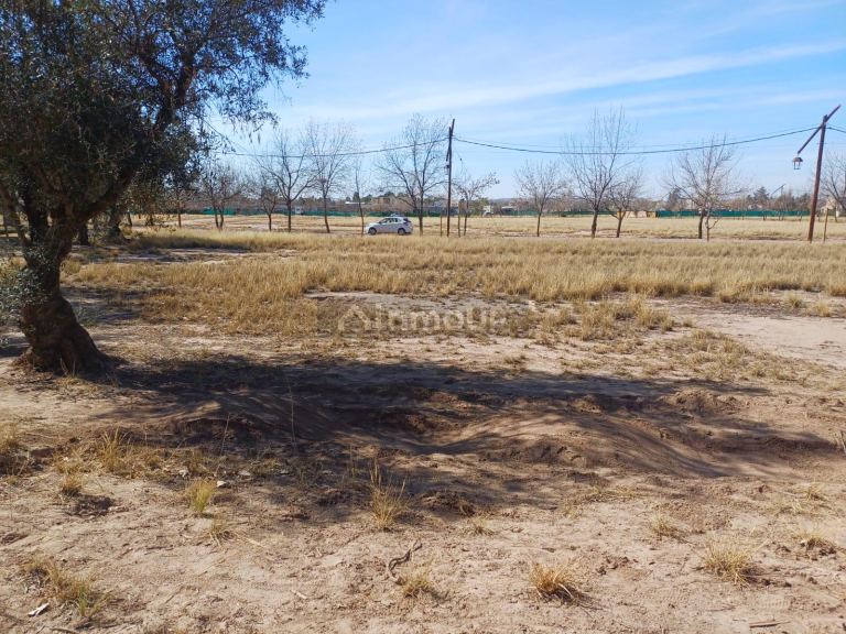 Lote en Venta en Lujan de Cuyo, Mendoza