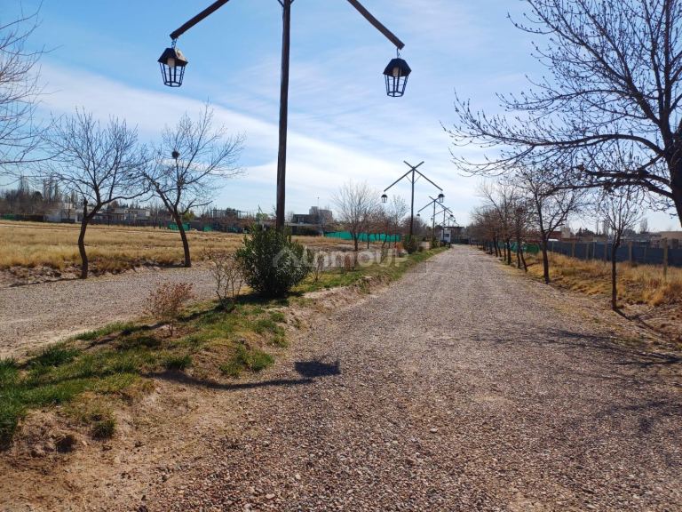 Lote en Venta en Lujan de Cuyo, Mendoza