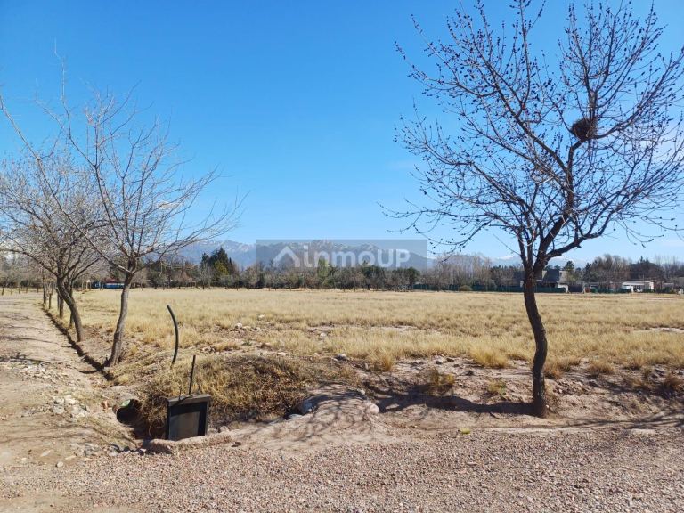 Lote en Venta en Lujan de Cuyo, Mendoza