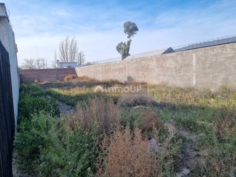 Lote en Venta en San Rafael, Mendoza
