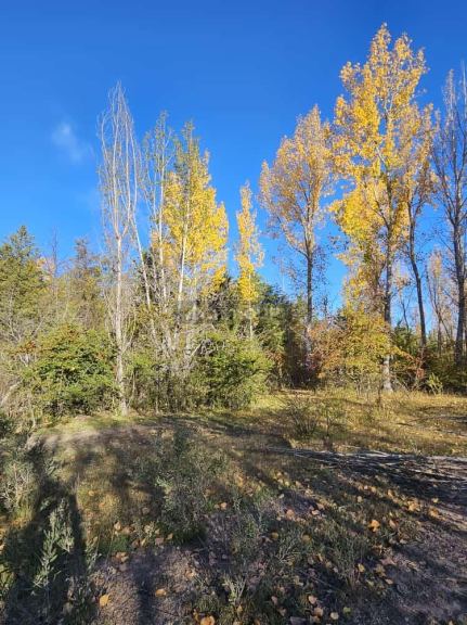 Lote en Venta en San Rafael, Mendoza