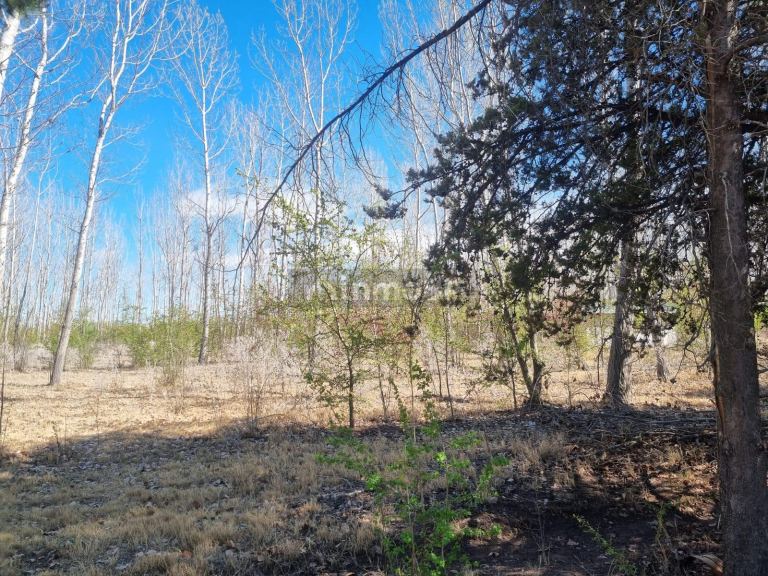 Lote en Venta en San Rafael, Mendoza