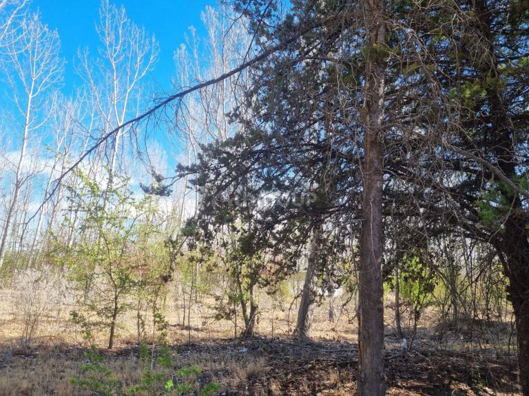 Lote en Venta en San Rafael, Mendoza