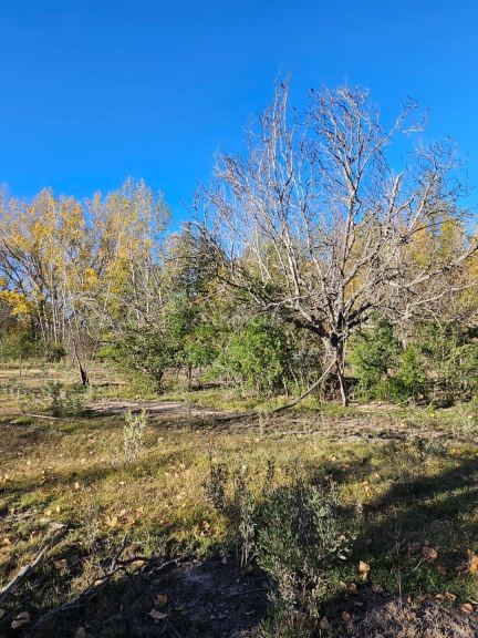Lote en Venta en San Rafael, Mendoza