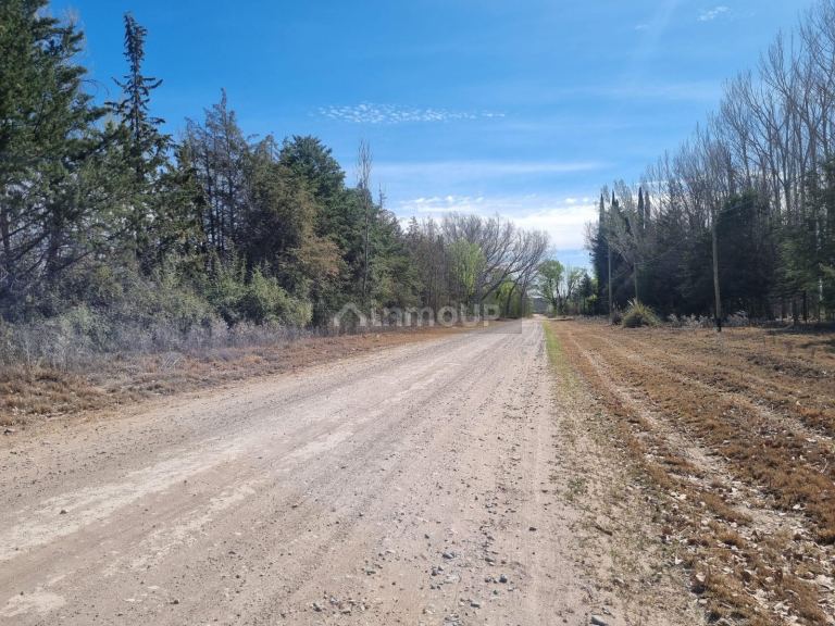 Lote en Venta en San Rafael, Mendoza