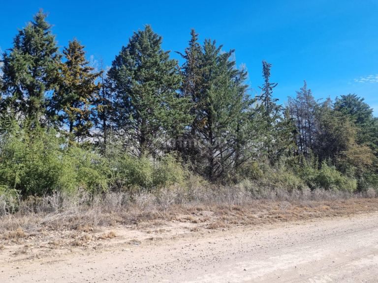 Lote en Venta en San Rafael, Mendoza