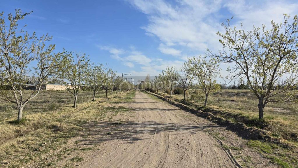 Lote en Venta en San Rafael, Mendoza