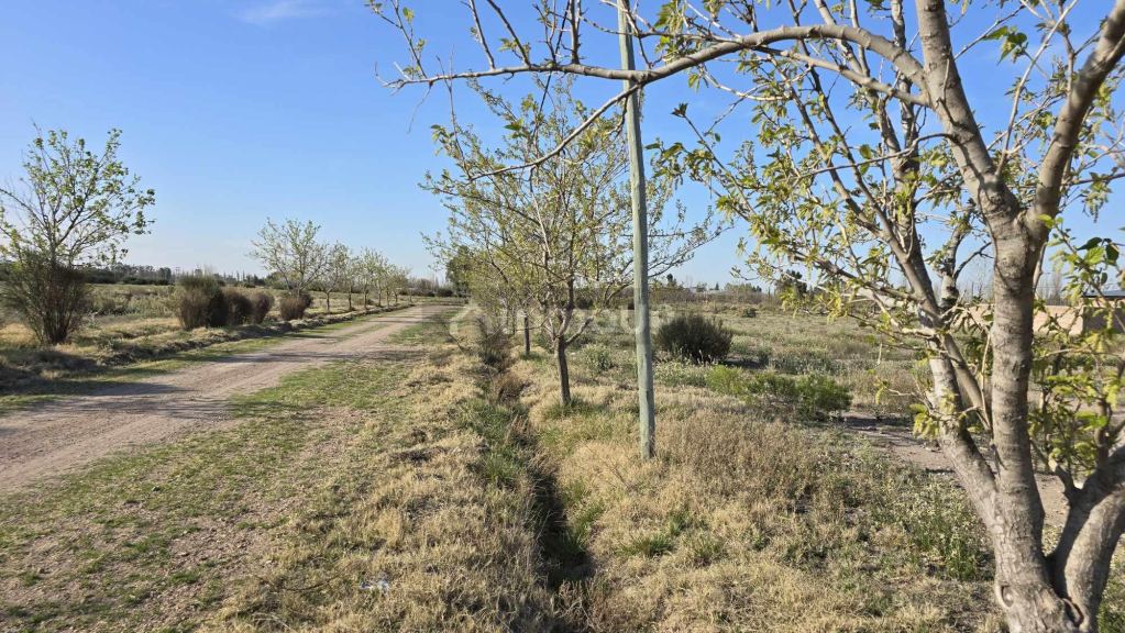 Lote en Venta en San Rafael, Mendoza