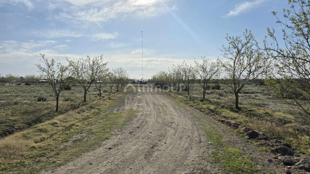 Lote en Venta en San Rafael, Mendoza