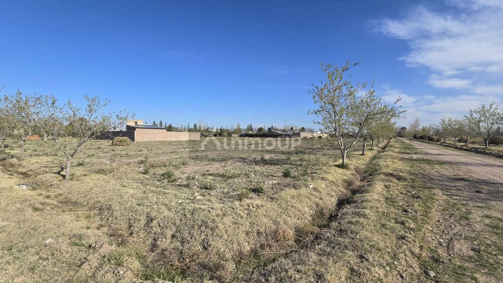 Lote en Venta en San Rafael, Mendoza
