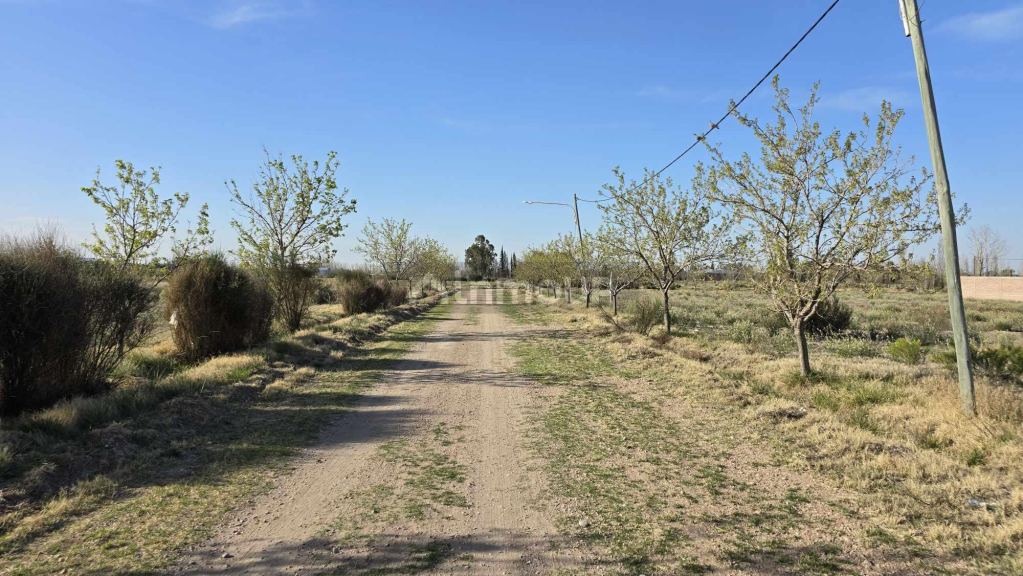 Lote en Venta en San Rafael, Mendoza