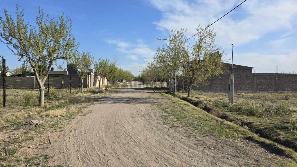 Lote en Venta en San Rafael, Mendoza